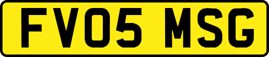 FV05MSG