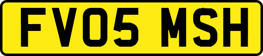 FV05MSH
