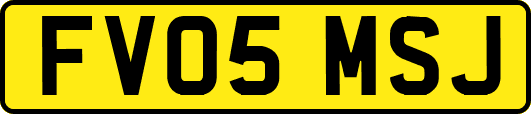 FV05MSJ