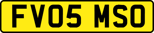 FV05MSO