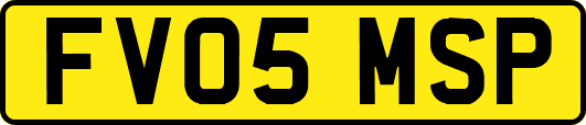 FV05MSP