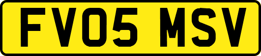 FV05MSV