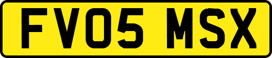 FV05MSX