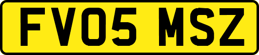 FV05MSZ