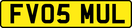 FV05MUL