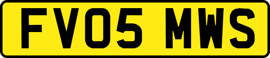 FV05MWS