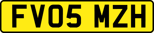 FV05MZH