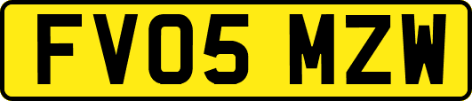 FV05MZW