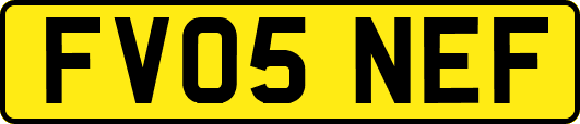 FV05NEF