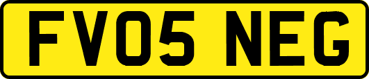 FV05NEG