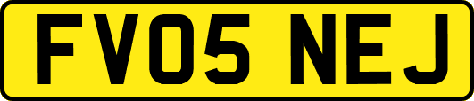 FV05NEJ
