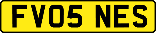 FV05NES