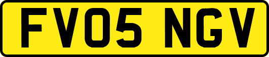 FV05NGV
