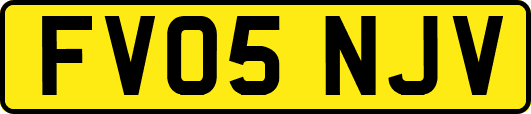 FV05NJV