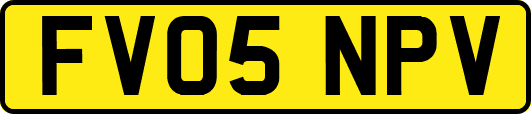 FV05NPV