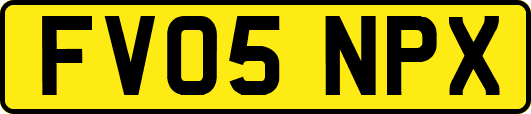 FV05NPX