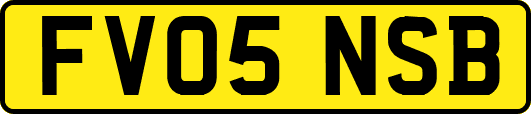 FV05NSB