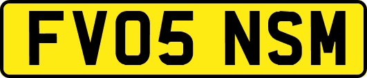 FV05NSM