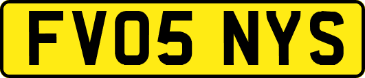 FV05NYS