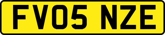 FV05NZE