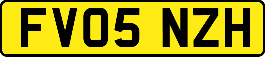FV05NZH