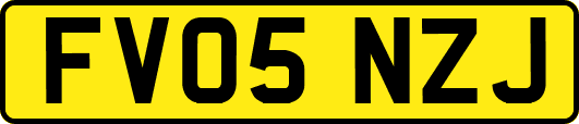 FV05NZJ