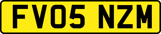 FV05NZM