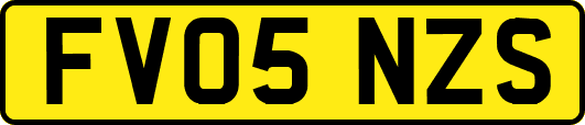 FV05NZS