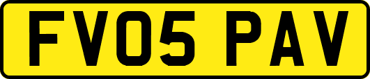 FV05PAV