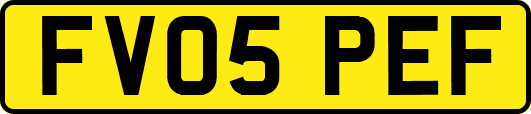 FV05PEF