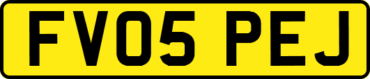 FV05PEJ