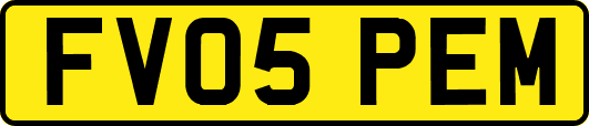 FV05PEM