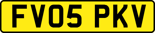 FV05PKV
