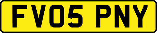 FV05PNY
