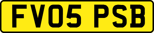 FV05PSB