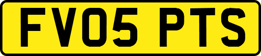 FV05PTS
