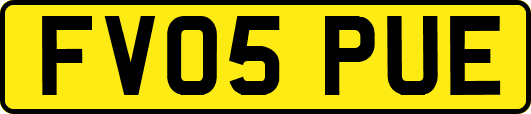 FV05PUE
