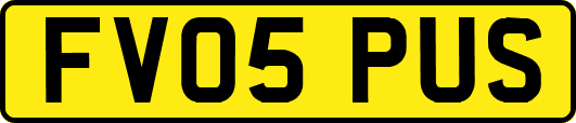 FV05PUS