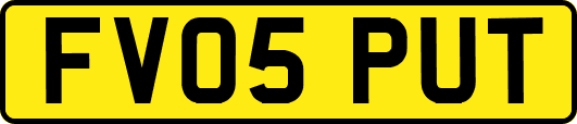 FV05PUT