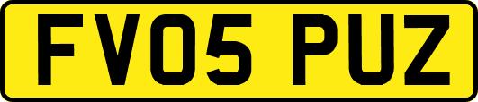 FV05PUZ