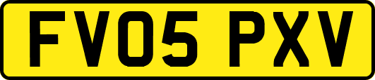 FV05PXV