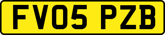 FV05PZB