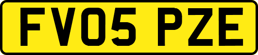 FV05PZE