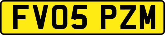 FV05PZM