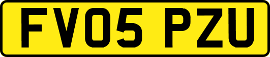 FV05PZU