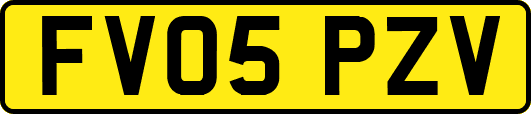 FV05PZV
