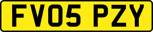 FV05PZY