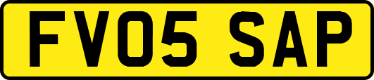 FV05SAP