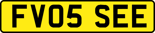 FV05SEE