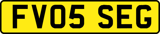 FV05SEG